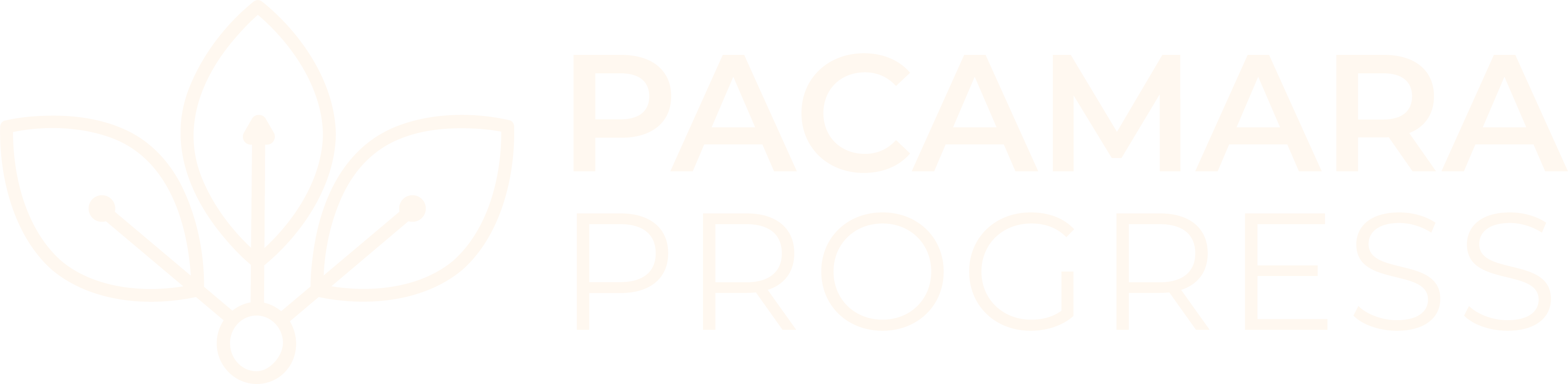 Pacamara Progress - Marketing Agency