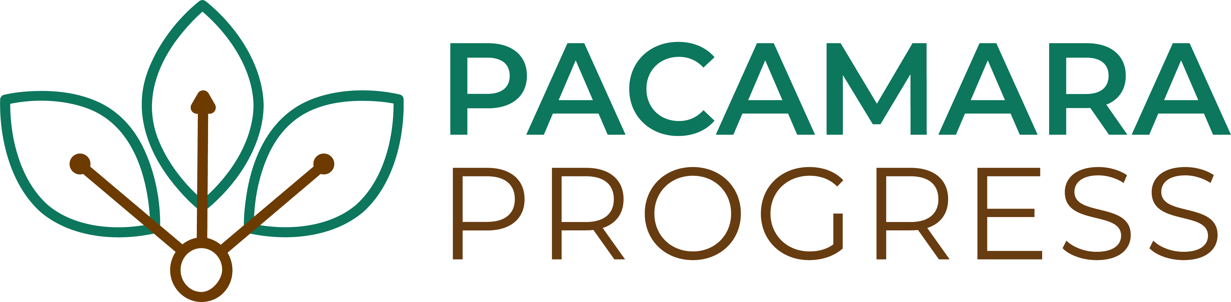 Pacamara Progress - Marketing Agency